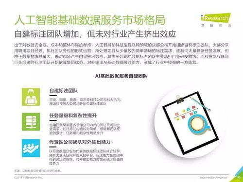 中國人工智能基礎(chǔ)數(shù)據(jù)服務(wù)行業(yè)報告 引領(lǐng)創(chuàng)新的人工智能基礎(chǔ)軟件開發(fā)